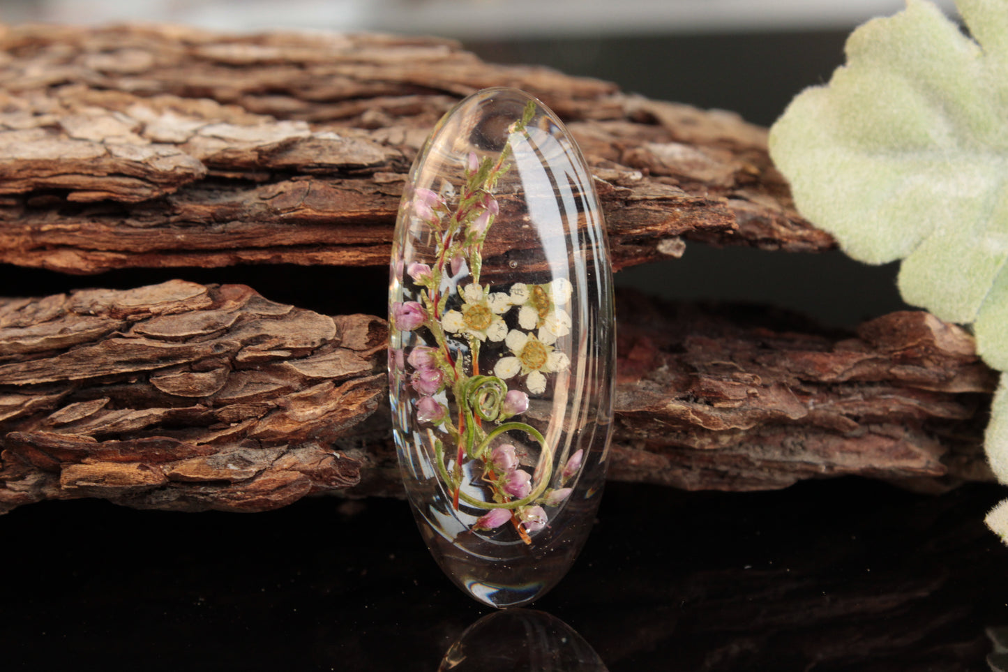 Oval Lens Silicone Resin Mold - 2in1